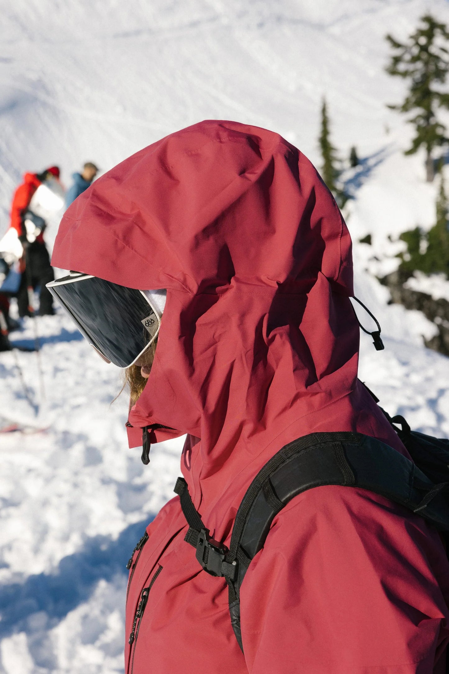 GORE-TEX Skyline Thermagraph® Jacket